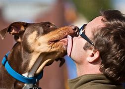 telegram.dog-telegraph官网下载