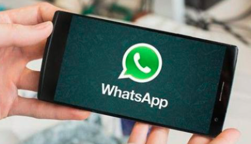 whatsapp安卓下载安装-whatsappbusiness安卓最新下载