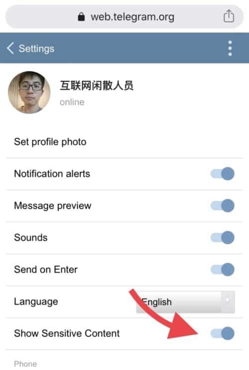telegramiOS登陆教学-telegram怎么解除双向限制