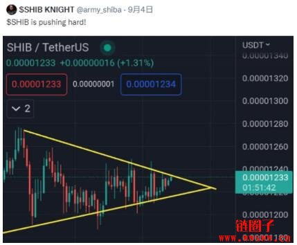 shib币最新价格-shib币最新价格消息