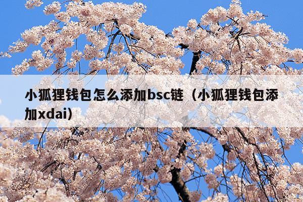 小狐狸钱包app官网新版本的简单介绍
