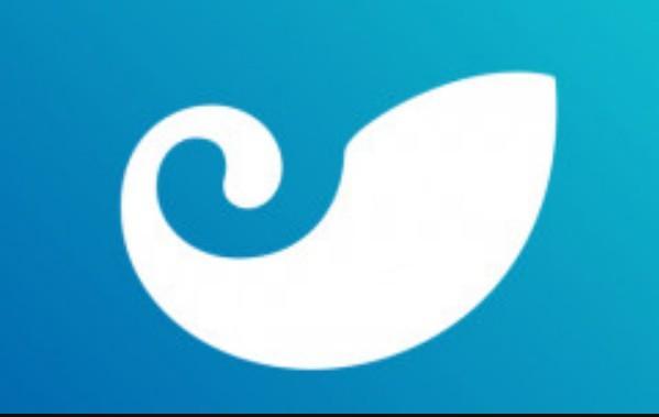 tp钱包没有ethw网络,tp钱包没有以太坊怎么提现