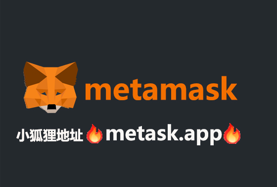 小狐狸钱包app官方正版,狐狸钱包app官网最新版本