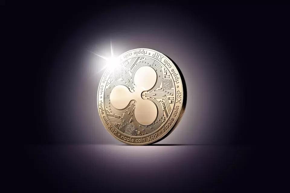 瑞波币是干什么的,瑞波币就是个卖币的公司