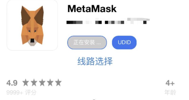 小狐狸钱包登录不了怎么回事,小狐狸钱包登录不了怎么回事儿