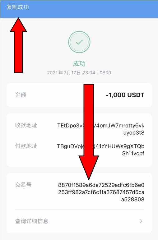 imtoken找不到usdt,imtoken怎么没有ustd钱包