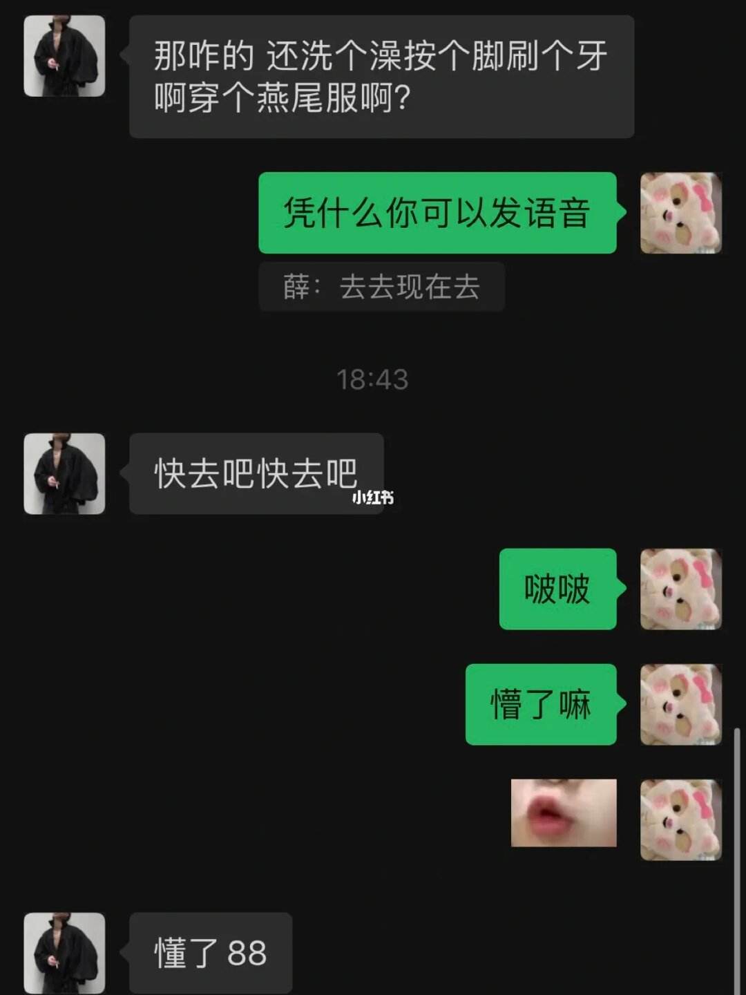 聊天飞机是什么意思,网上聊天飞机是什么意思