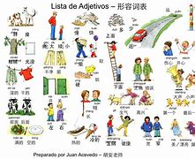 Particularity形容词,particular的形容词和副词
