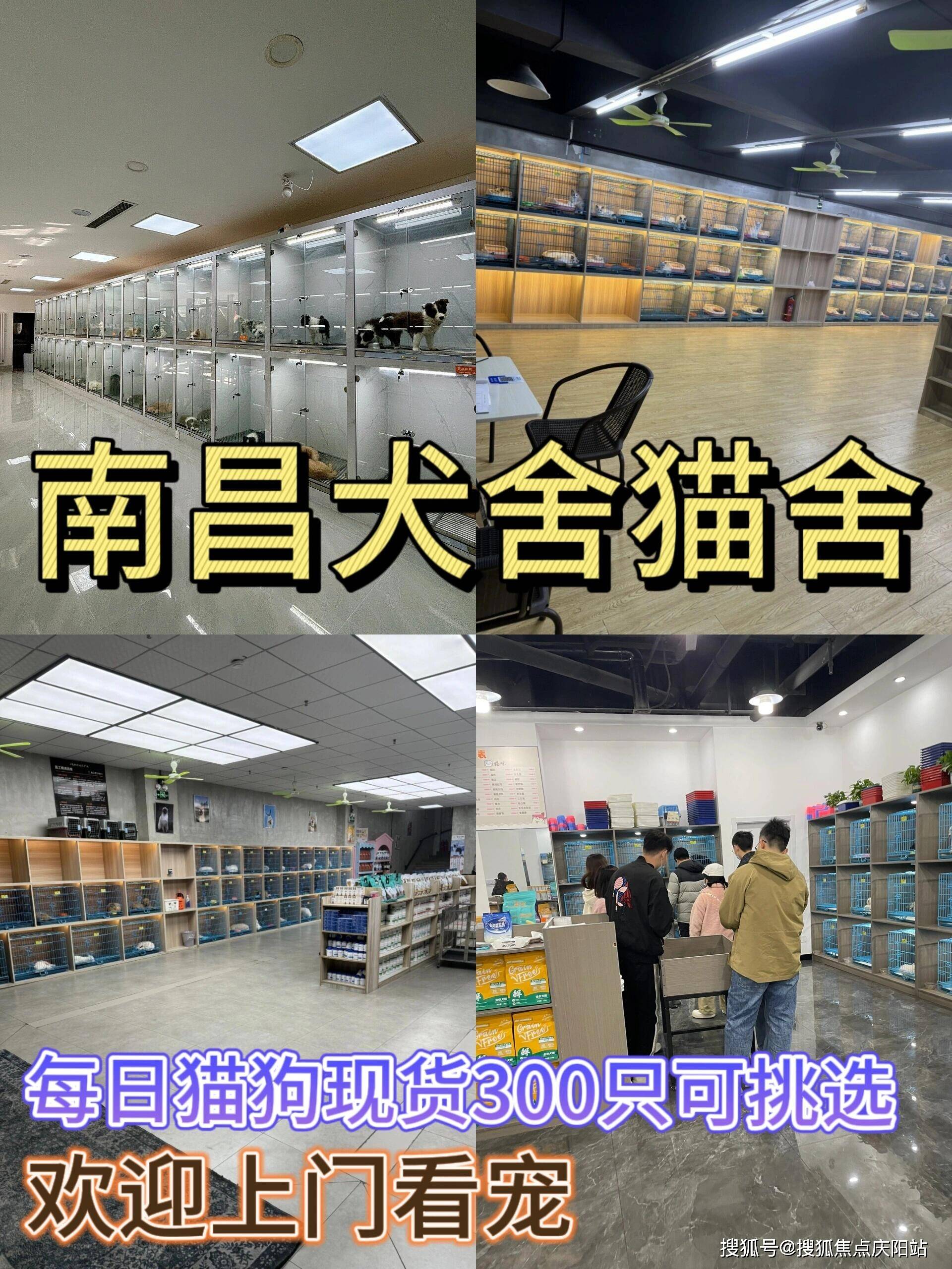 tb钱包怎么转账到比特派钱包上的下载卡,tb钱包怎么转账到比特派钱包上的下载卡片