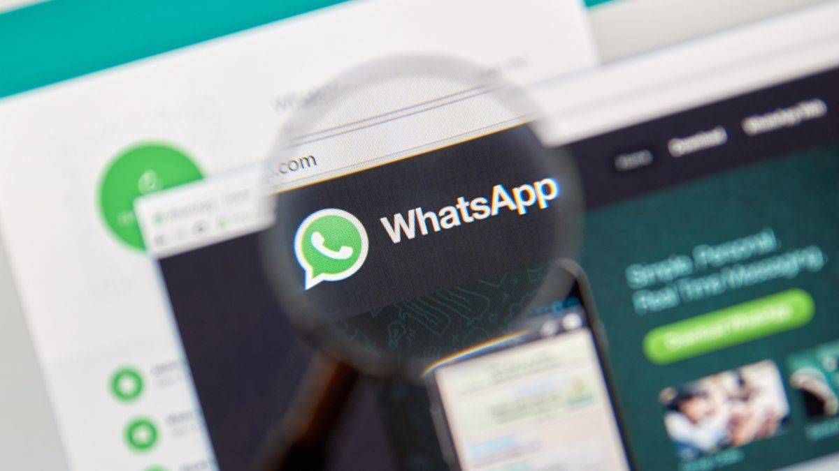 whatsappbusiness官网,whatsappbusiness官网免费下载