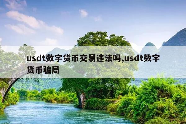 泰达币usdt能投资吗,泰达币usdt 钱包下载