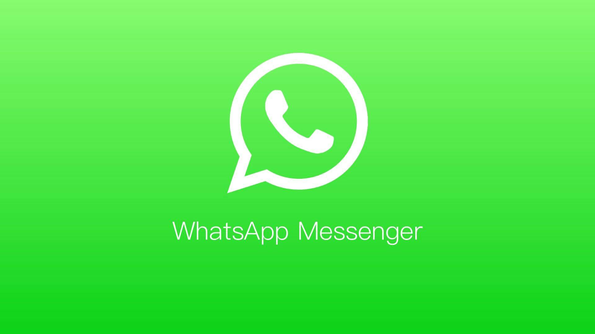 whatsapp怎么多选照片,whatsapp怎么批量删除联系人