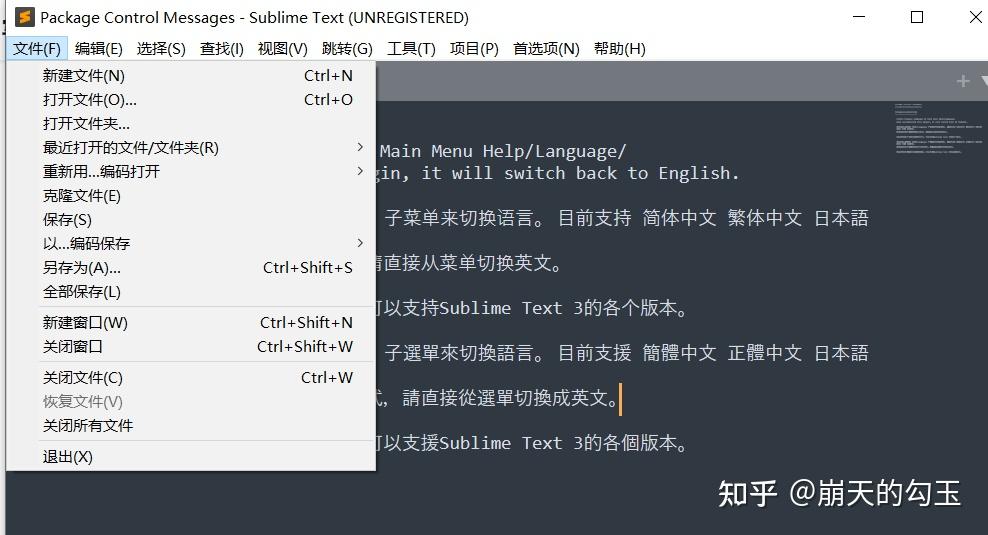 纸飞机语言包怎么弄,纸飞机中文语言包链接