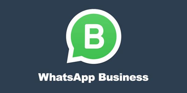 whatsappbusiness安卓最新下载,whatsapp business apk android