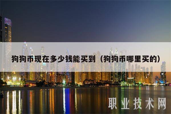 狗狗币今天的最新价格,狗狗币今天的最新价格美元