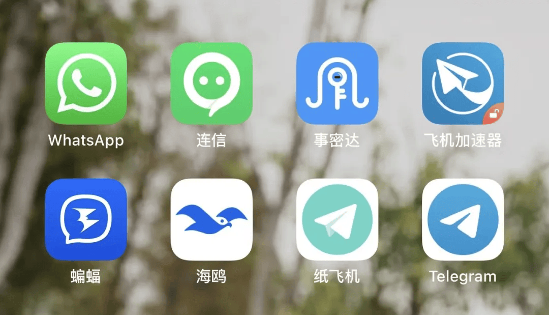 纸飞机社交软件中文,纸飞机软件怎么设置中文