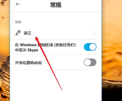 Skype可以卸载吗,win10中skype可以卸载吗