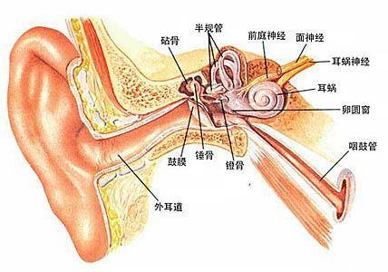 耳朵能听见类似打电报的声音,一边耳朵听声音有发电报的声响