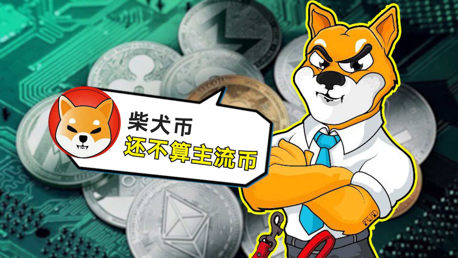 柴犬币涨了多少倍,柴犬币上涨了多少倍