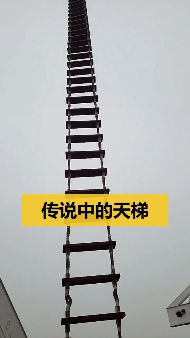 贴吧说的梯子是什么东西,贴吧说的梯子是什么东西啊