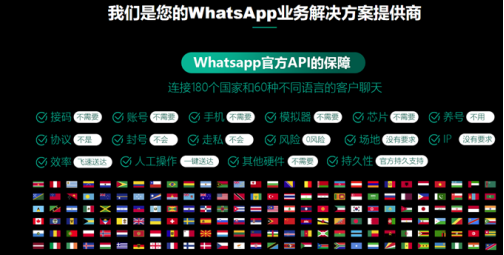 whatsapp哪个国家,whatsapp哪个国家开发的