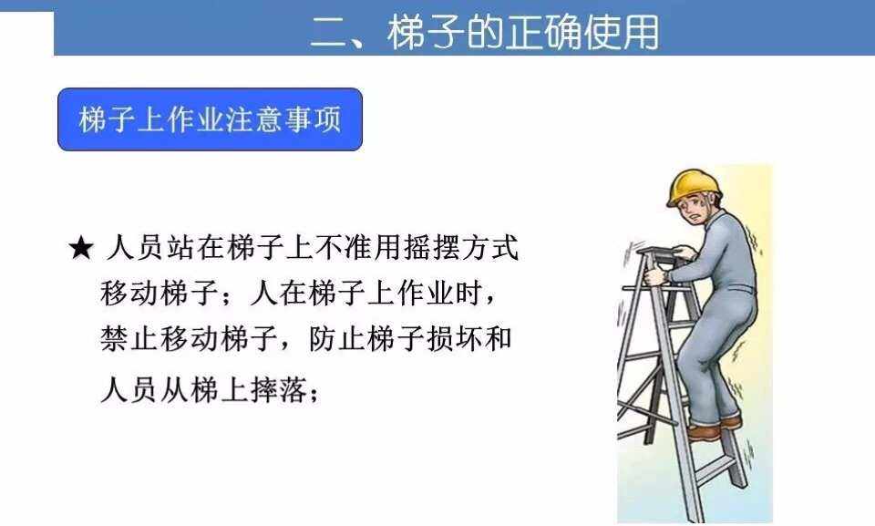 使用梯子安全措施,使用梯子安全措施怎么写