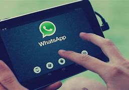 whatsapp.android,whatsappandroid44