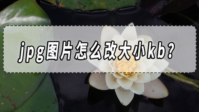 打开jpg图片的软件,打开jpg图片的软件有哪些