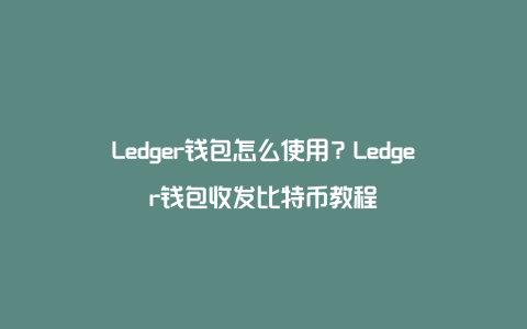 ledger官网购买,ledger entries