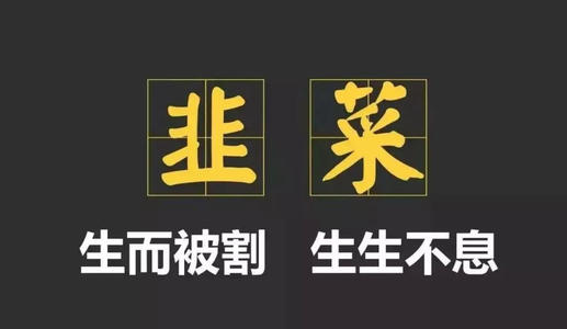 deepcoin交易所怎么样,deepernetwork币的价格