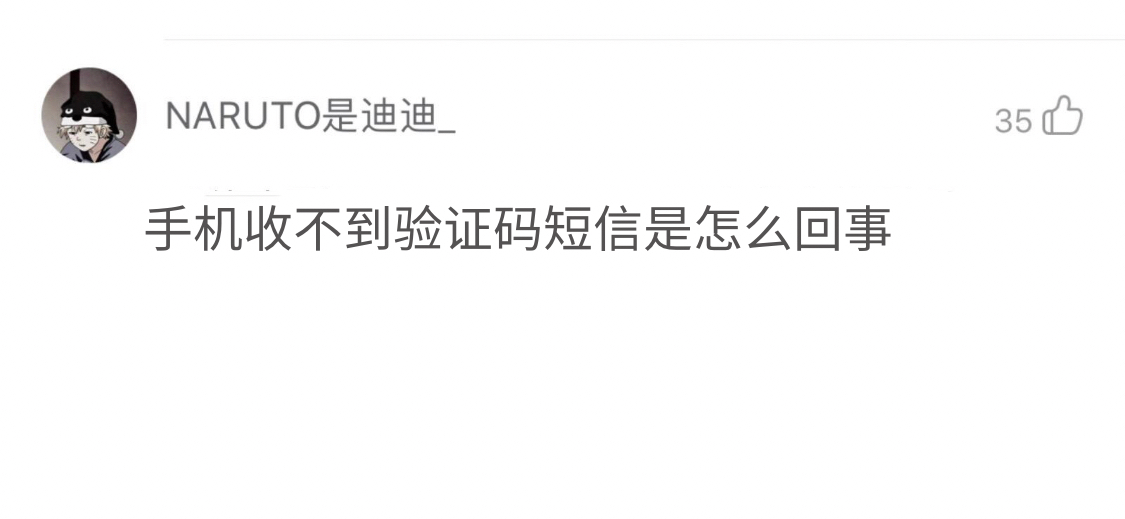 下载软件收不到验证码,怎么办,下载软件收不到验证码,怎么办呀