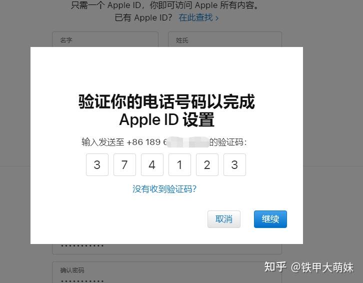 appleid登录,Appleid登录失败