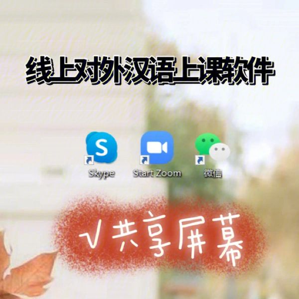 skype下载了打不开,skype电脑下载后怎么点不开