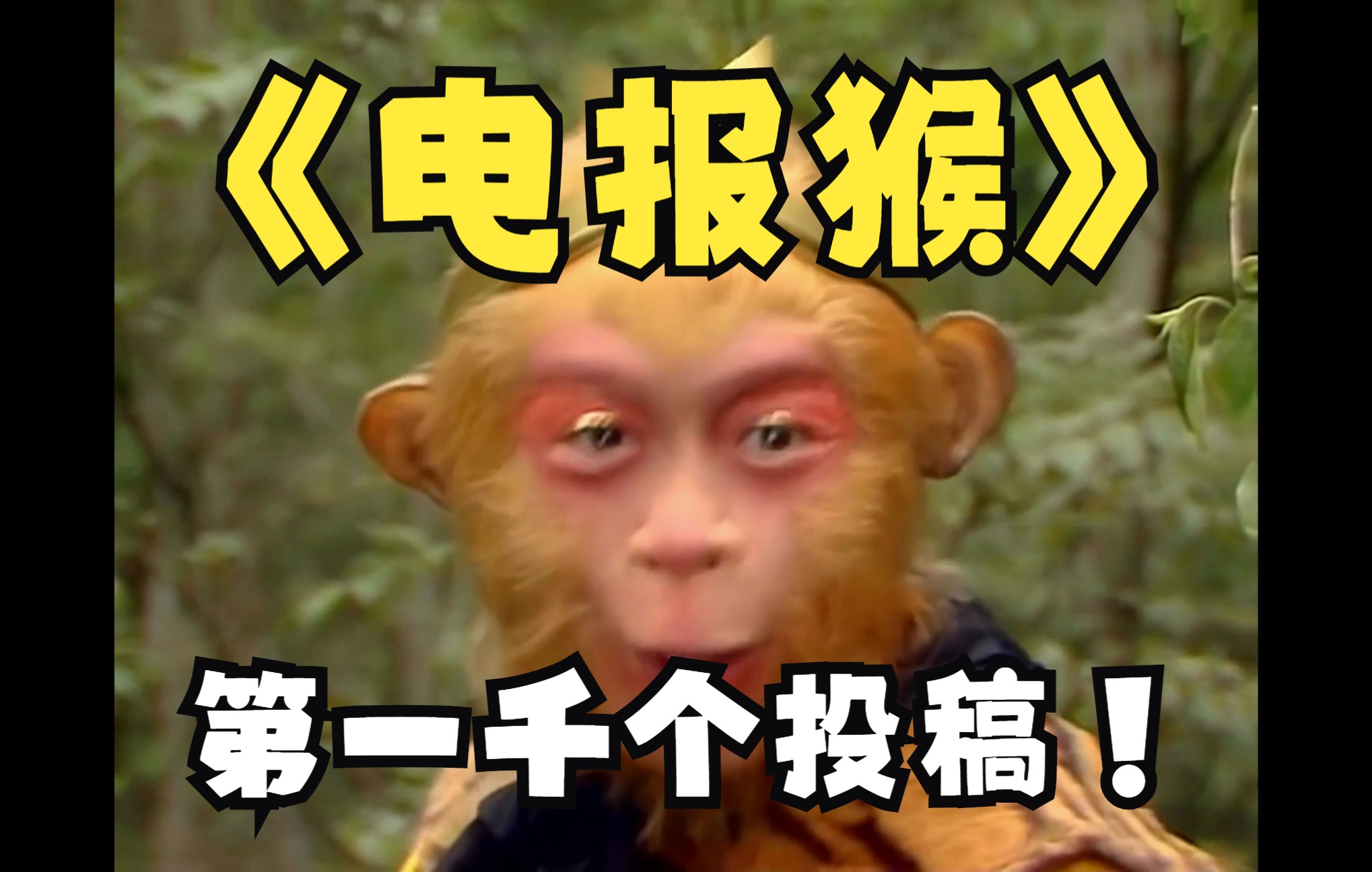 电报员方言,电报员是干什么的