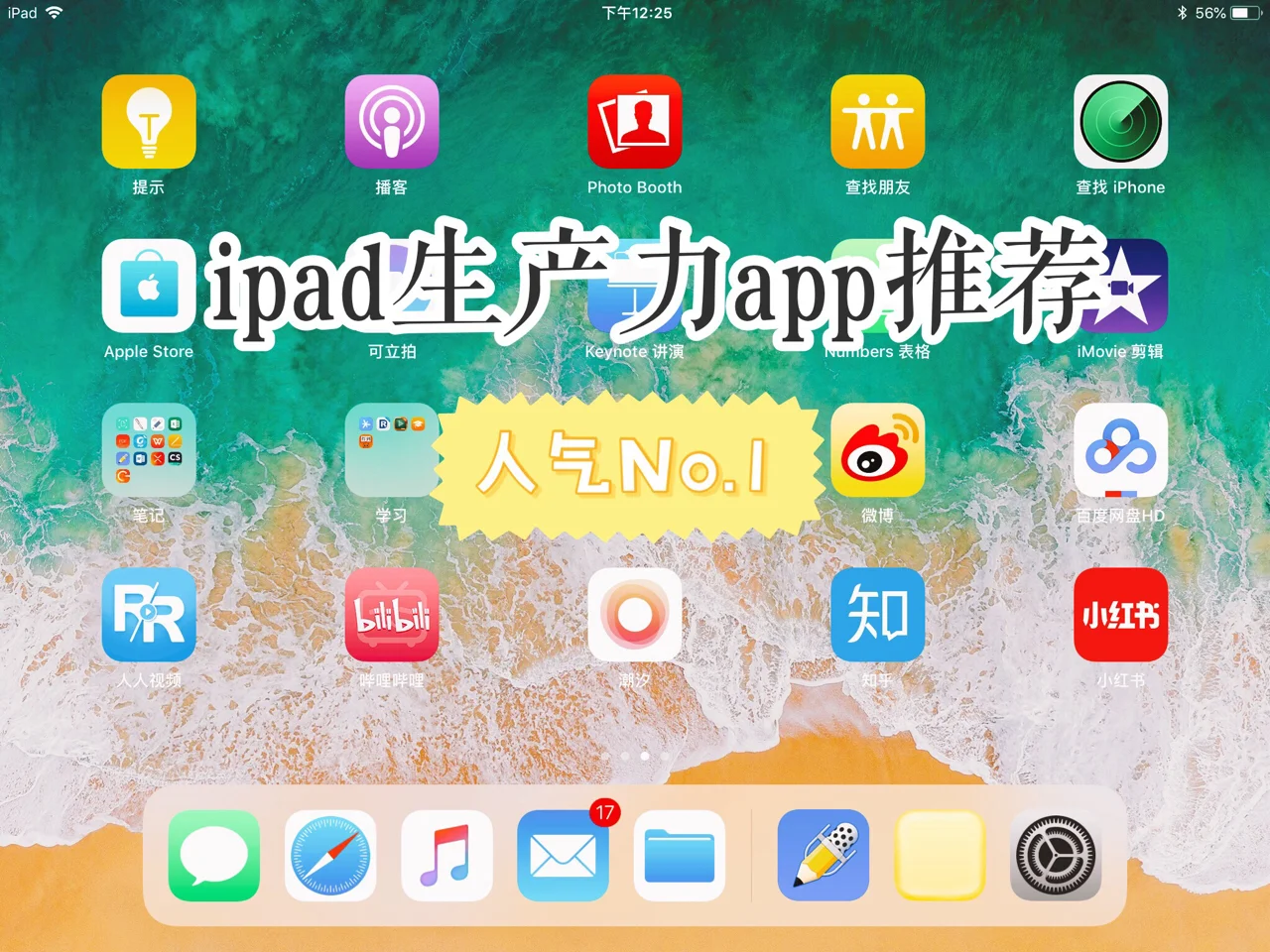 ipad梯子哪个好用,ipad梯子是什么意思