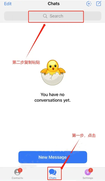纸飞机如何设置中文,纸飞机如何设置中文版本pc
