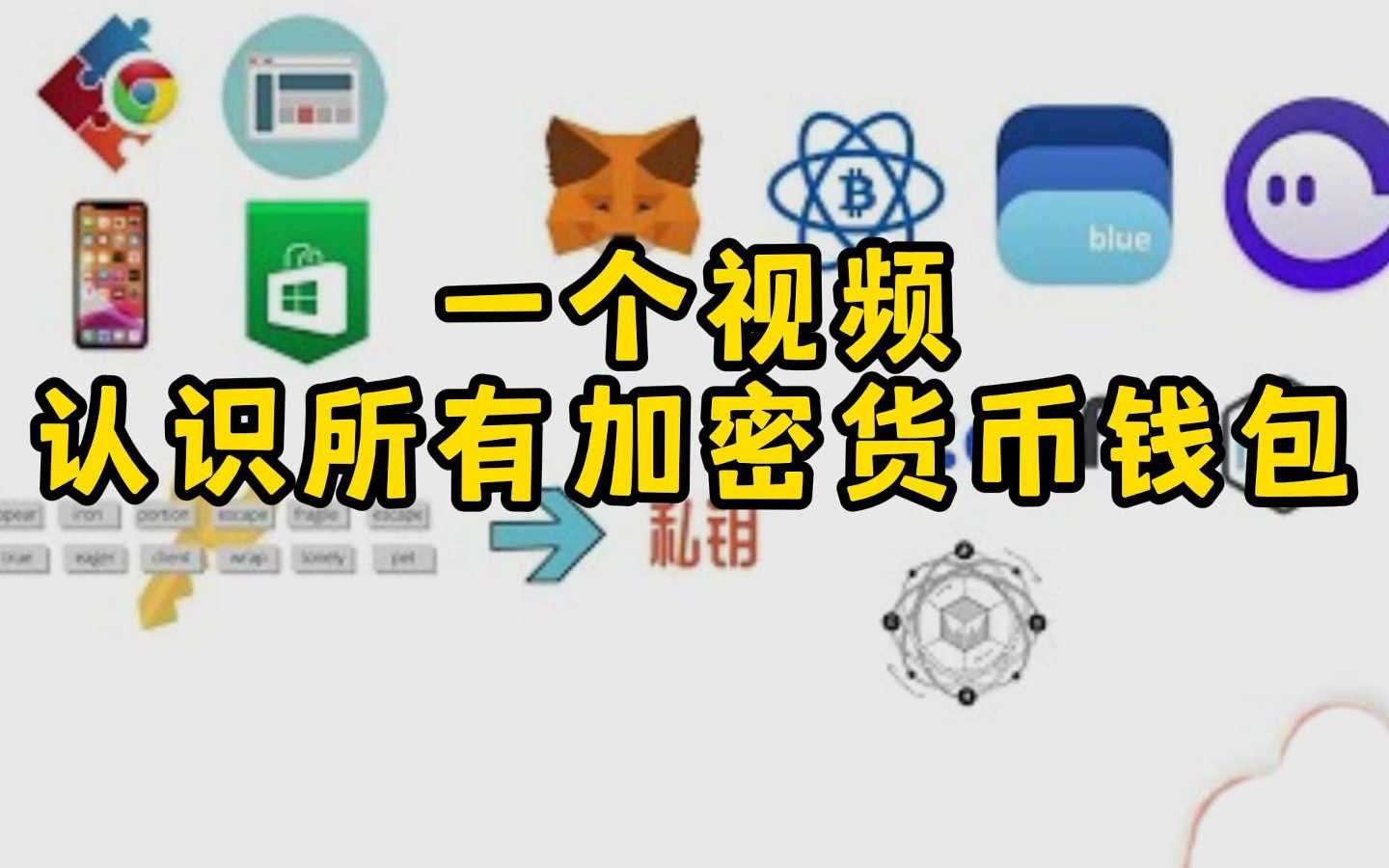 冷钱包中文版,tpwallet钱包官网
