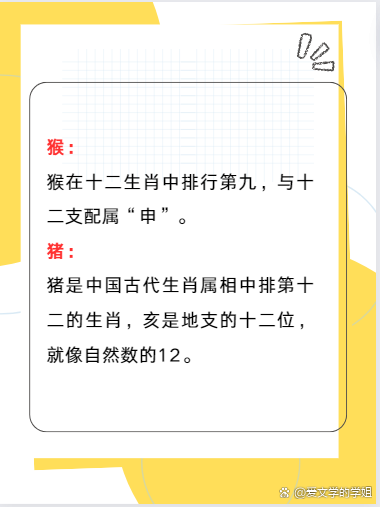 三条蛇仔缠大猪是什么生肖,三条蛇仔缠大猪是什么生肖动物