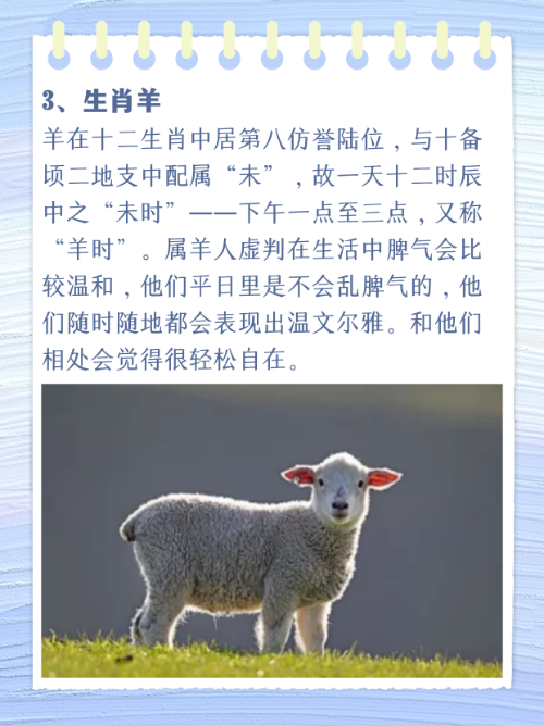 细羊是什么生肖,细羊捉玄机猜一动物