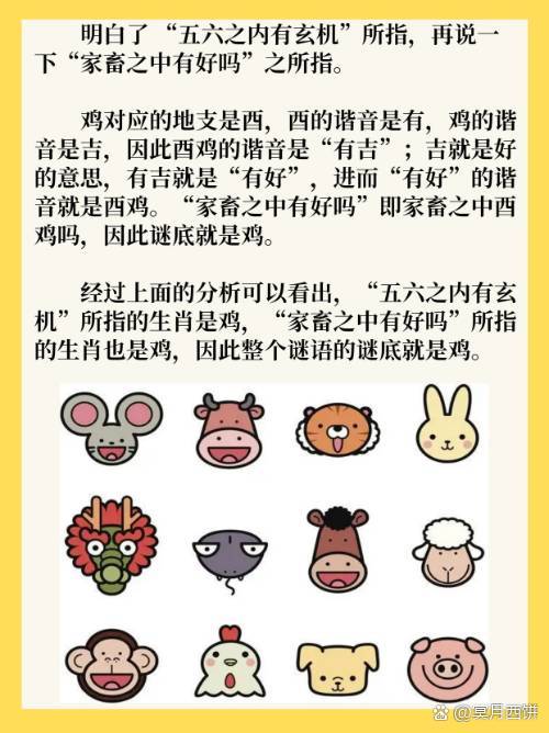 6合玄机最佳生肖,6合玄机最佳生肖是什么?