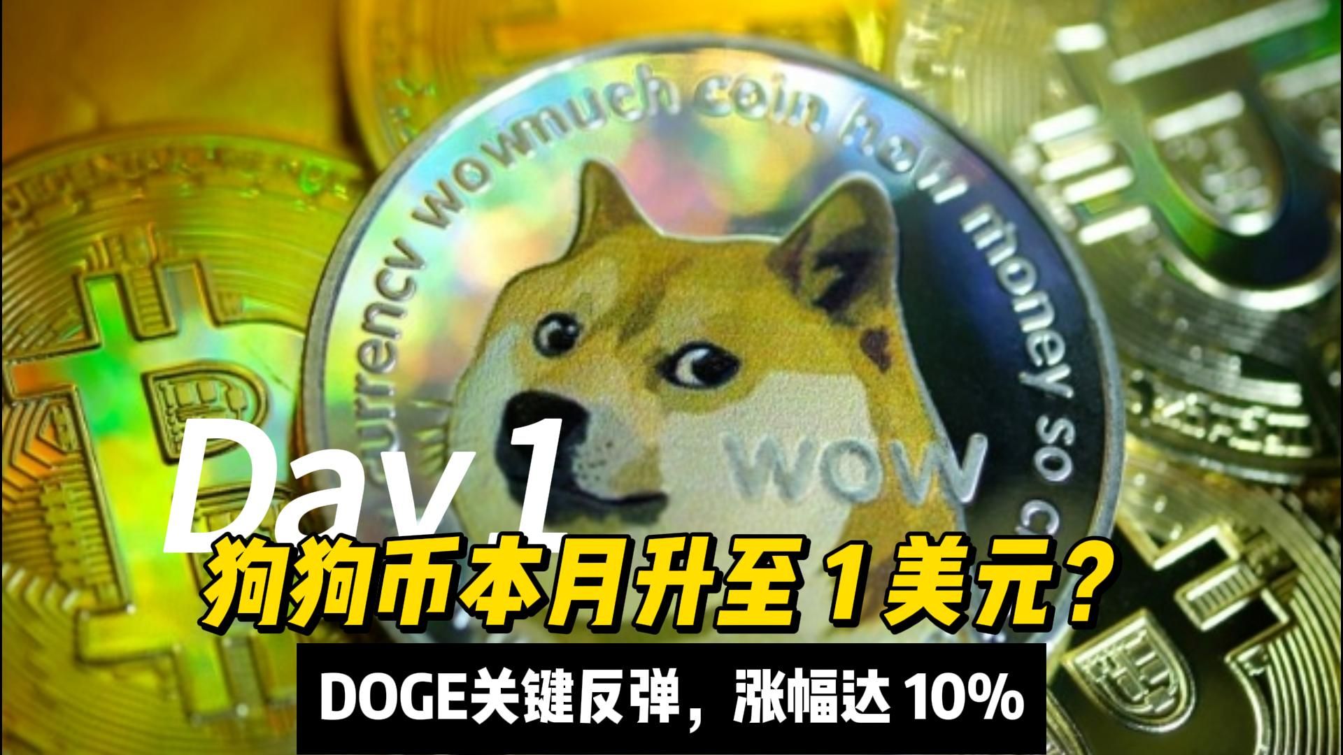 狗狗币美元最新行情分析,狗狗币价格今日行情美元兑人民币
