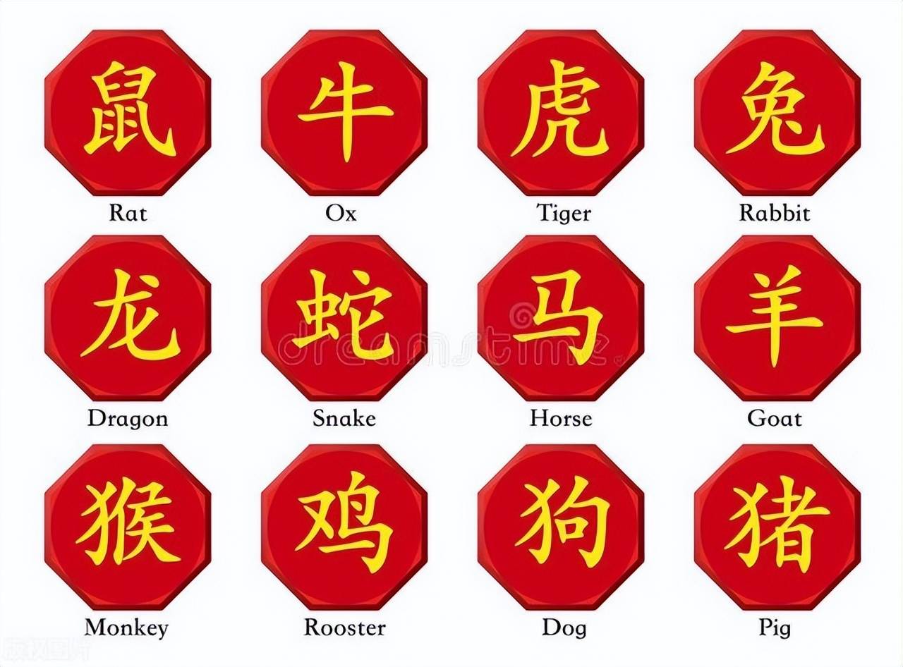 仗义的动物打一准确生肖,仗义的动物是什么生肖请回答一个
