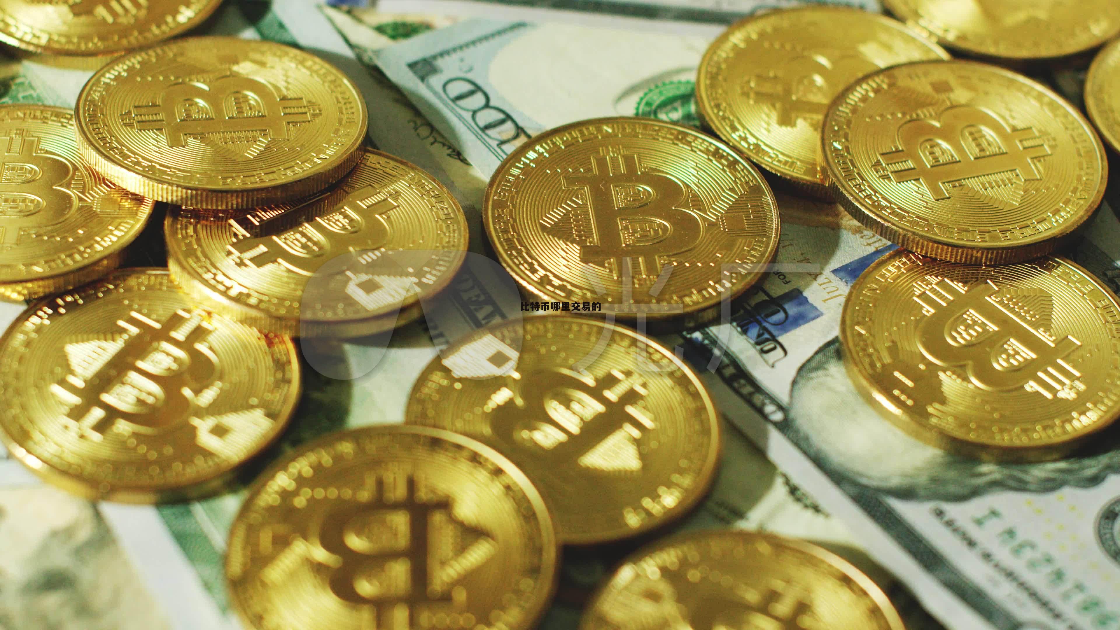 zb平台币最新动态,zb平台是正规平台吗
