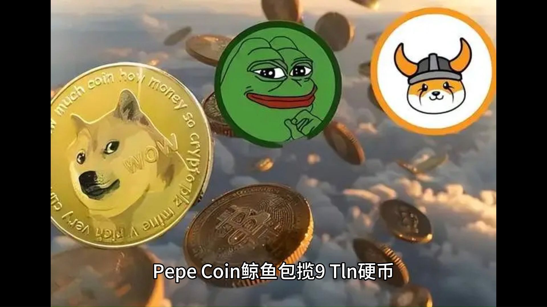 pepe是什么币,1000pepe是什么币