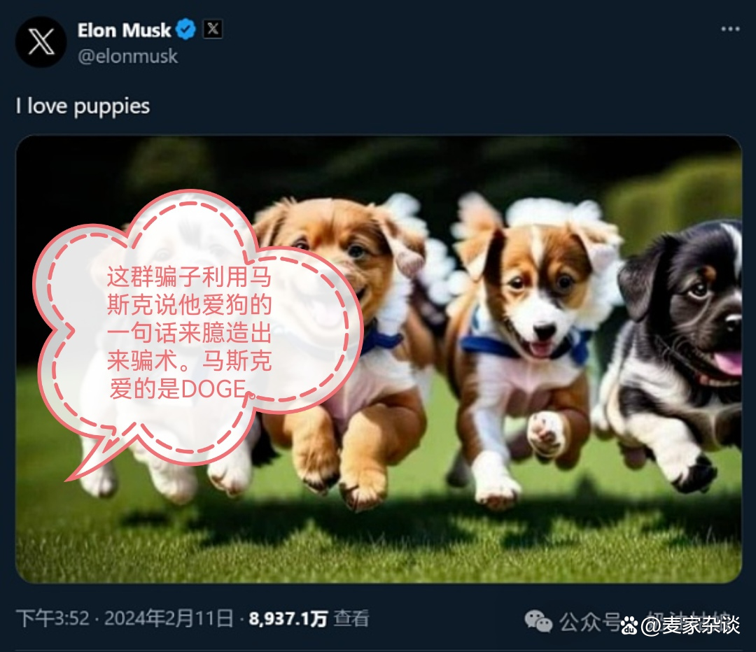 什么币是骗局,什么什么币的骗局