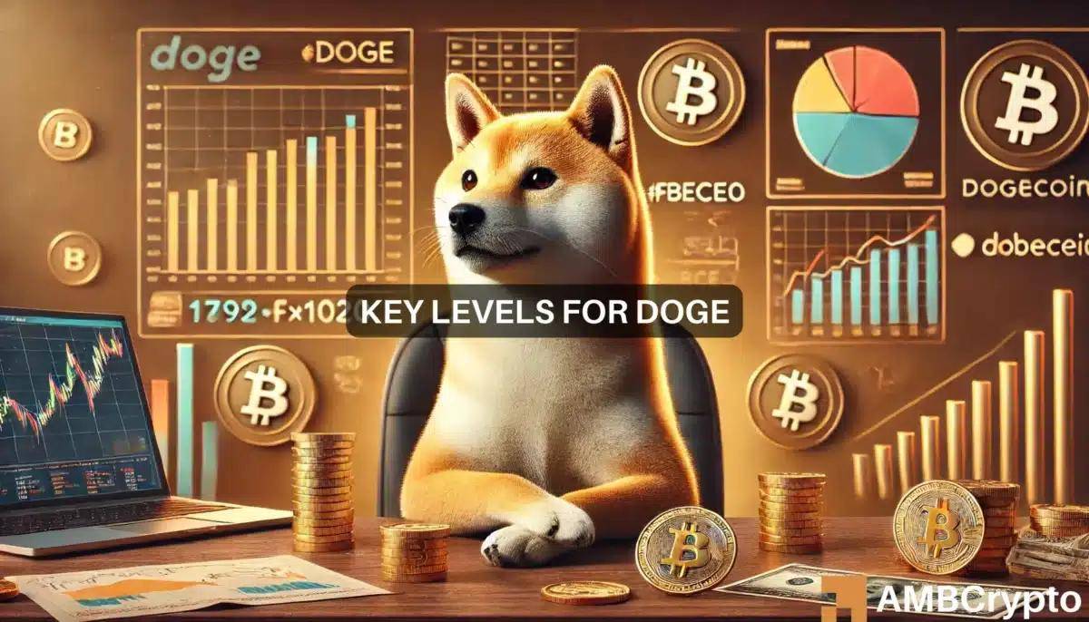 狗狗币今年涨了多少倍,狗狗币今年已上涨100倍