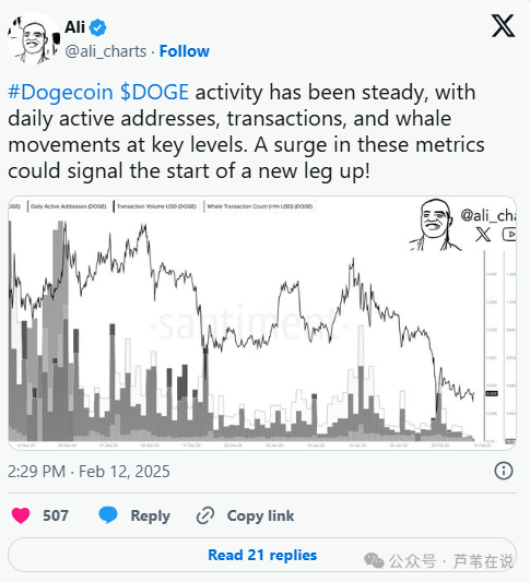 狗狗币今年涨了多少倍,狗狗币今年已上涨100倍