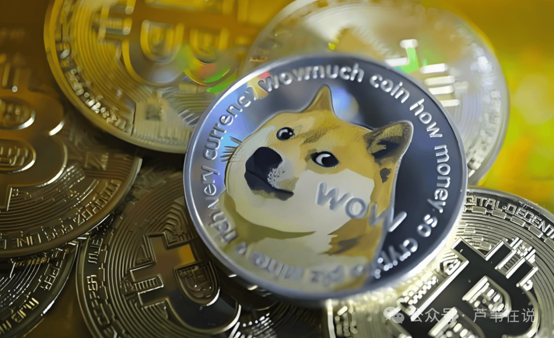 dogecoin狗狗币官网,dogecoin狗狗币是什么