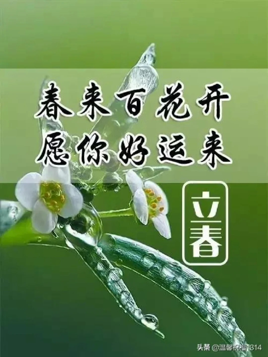立春最准确的一肖,立春指的是什么生肖