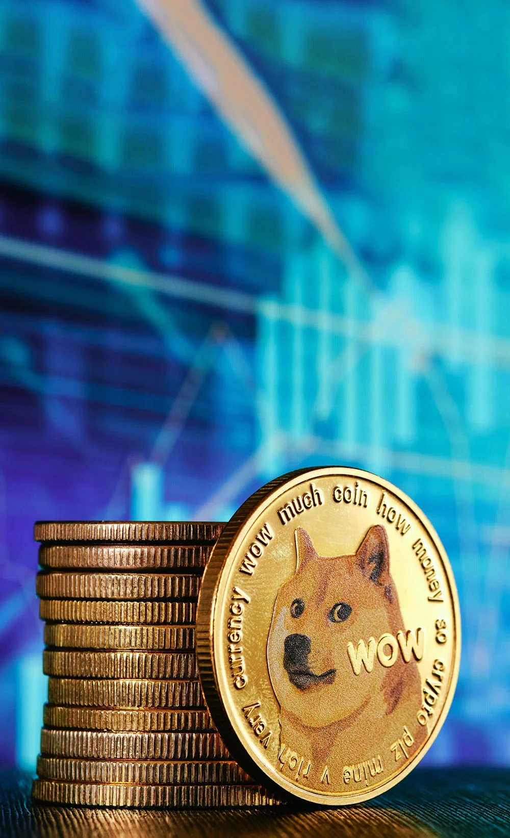 狗狗币官网登录入口,dogecoin狗狗币官网